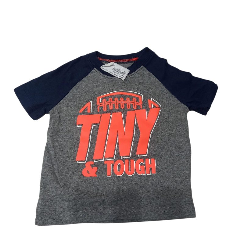 REMERA ALG GRIS MANGAS AZUL TINY & TOUCH CARTERS T9M