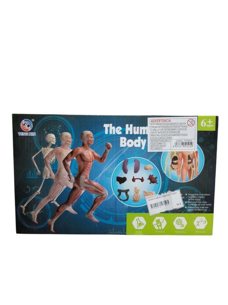CUERPO HUMANO DIDACTICO TY350525