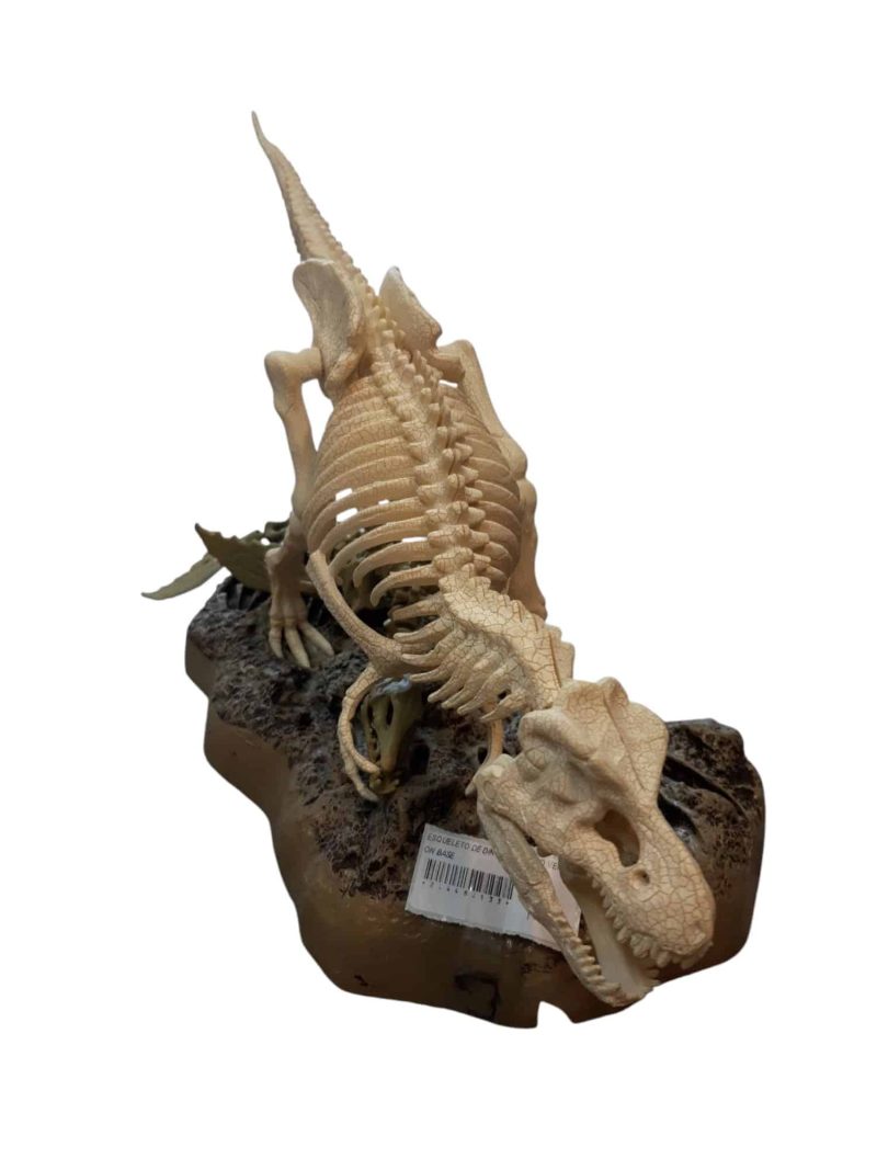 ESQUELETO DE DINOSAURIO BCO VERDE CON BASE