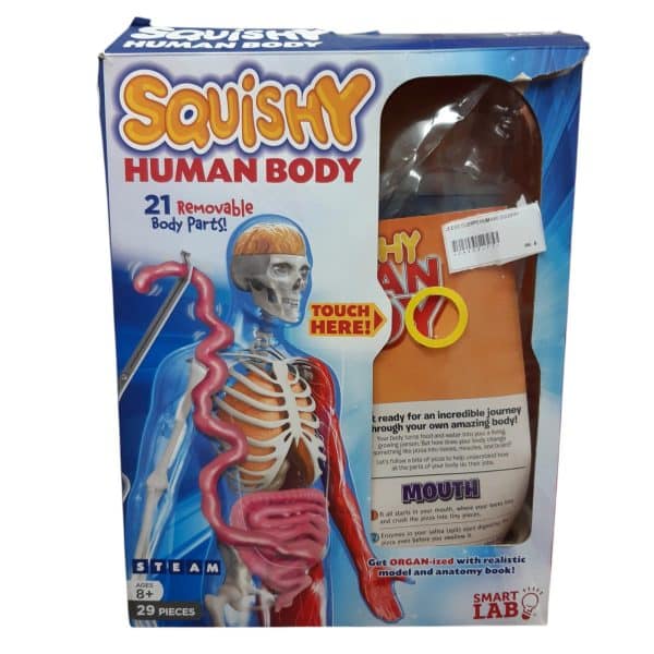 JUEGO CUERPO HUMANO SQUISHY