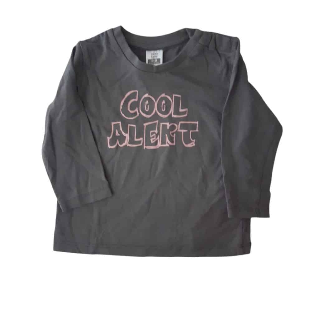 REMERA GRIS COOL ZARA T6/9M