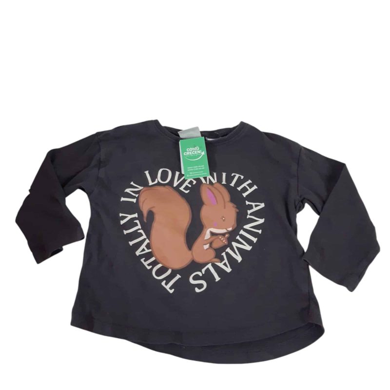 REMERA GRIS ARDILLA ZARA T12/18M