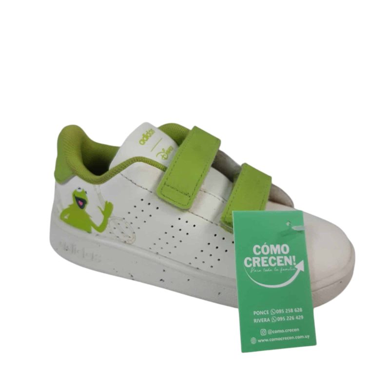 CHAMPIONES ADIDAS BCOS VERDE SAPO MUPPETS  T24 14CM PLANTILLA ROCE