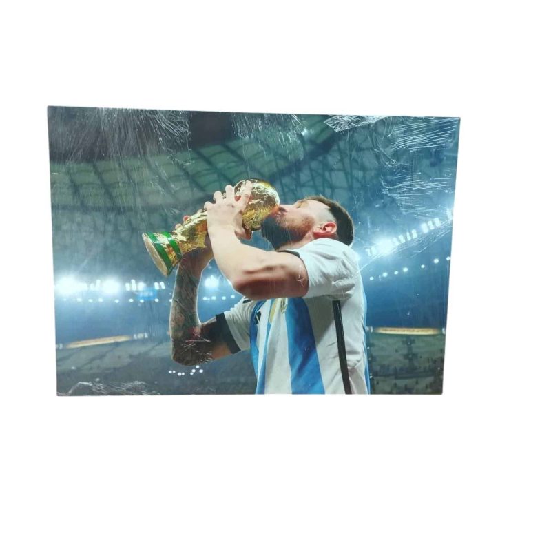 CUADRO DE 60 X 42.5  MESSI CON COPA SELECCION ARGENTINA DE FUTBOL