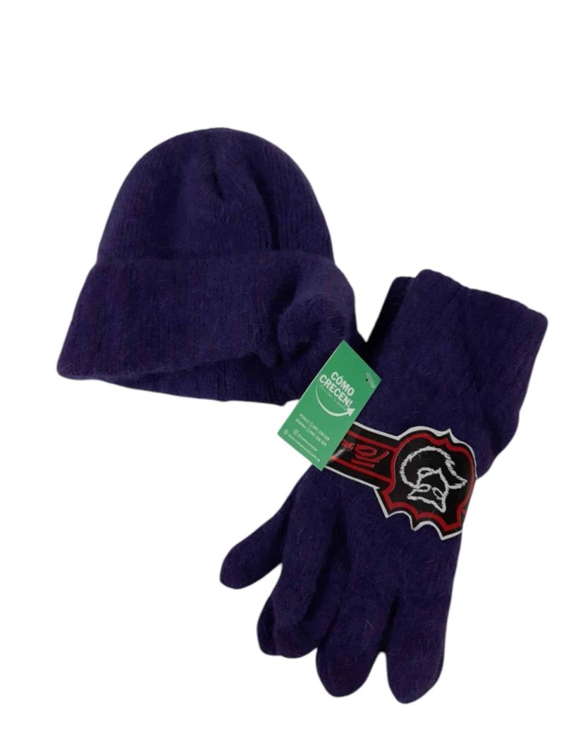 GORRO DE LANA CON GUANTES VIOLETAS FOX