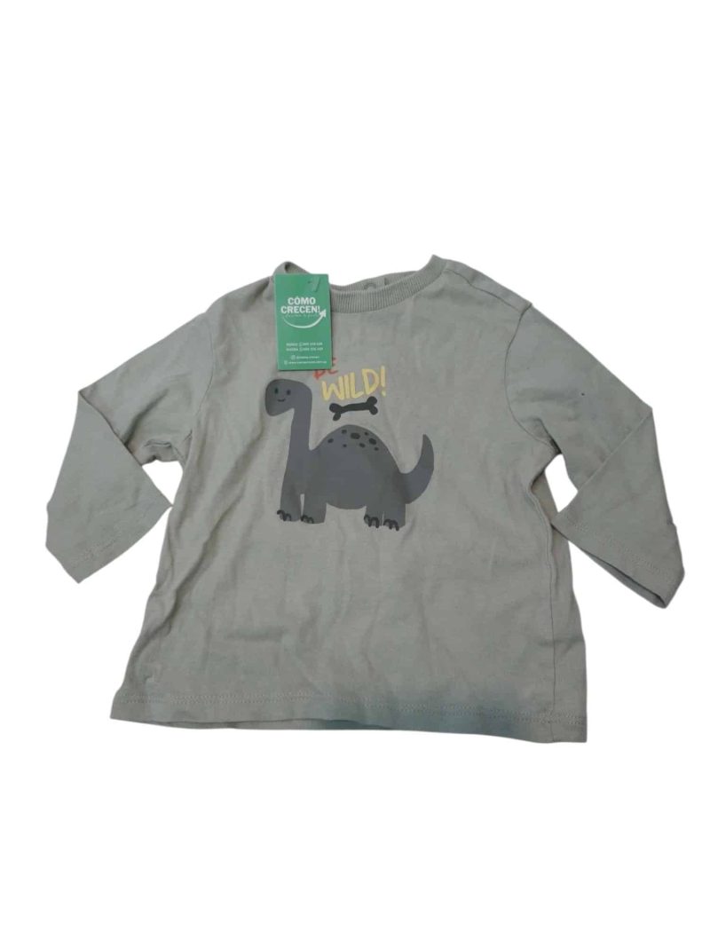 REMERA ALG VERDE DINOSAURIO BE WILD TEX BABY T6M