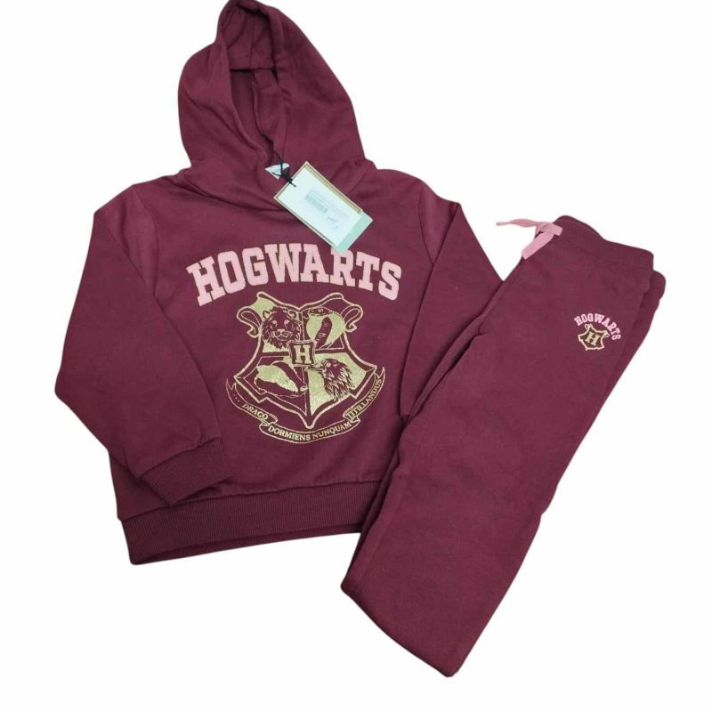 CONJUNTO BUZO Y PANT ALG CFELPA BORDO HOGWARTS H&M T 4-5 NUEVO