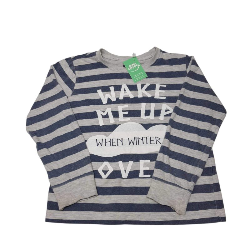 REMERA RAYADA GRIS AZUL BAS T4 GAST WAKE