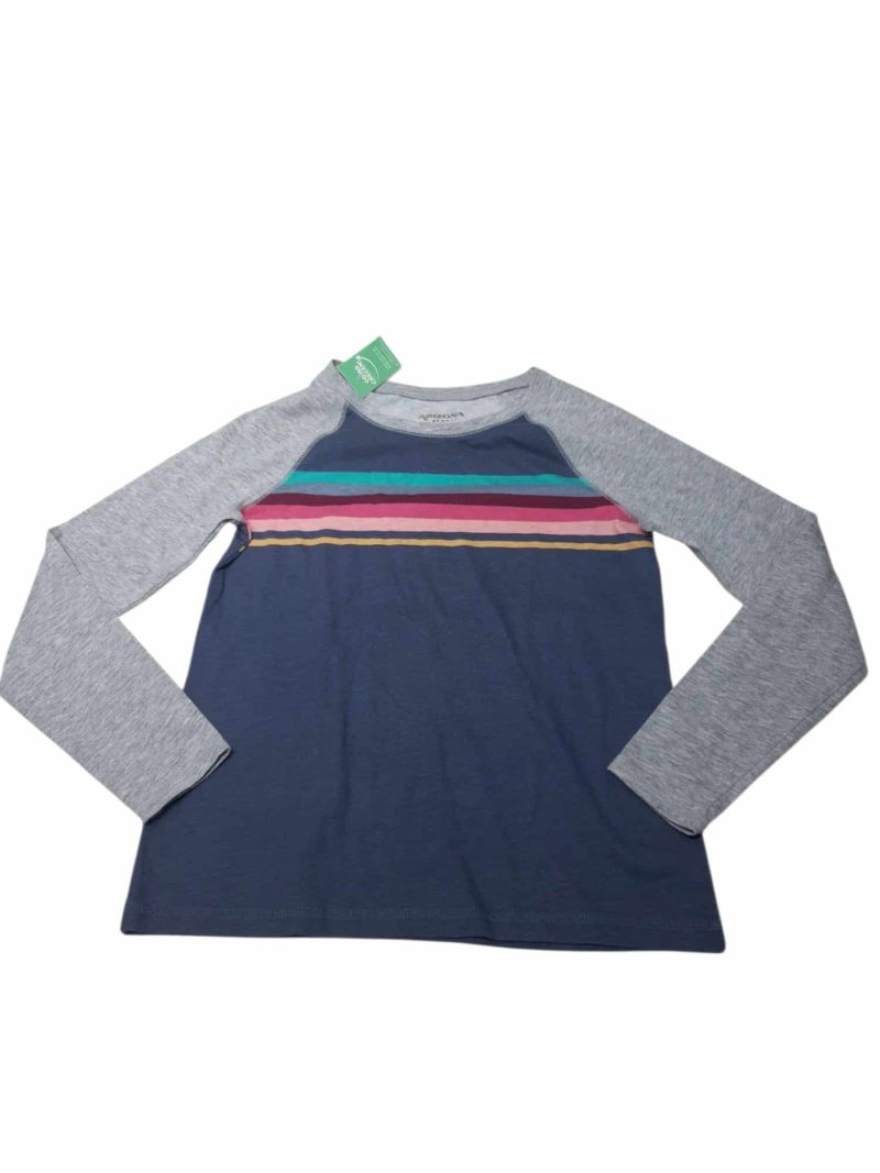 REMERA ALG AZUL RAYAS DE COLORES MANGAS GRISES ARIZONA T10/12
