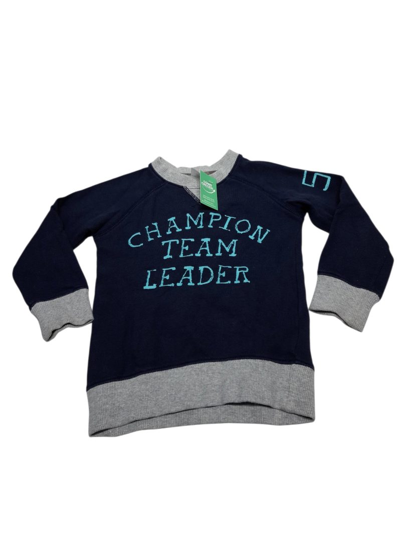 BUZO ALG AZUL GRIS CHAMPION TEAM CARTERS T3 FR