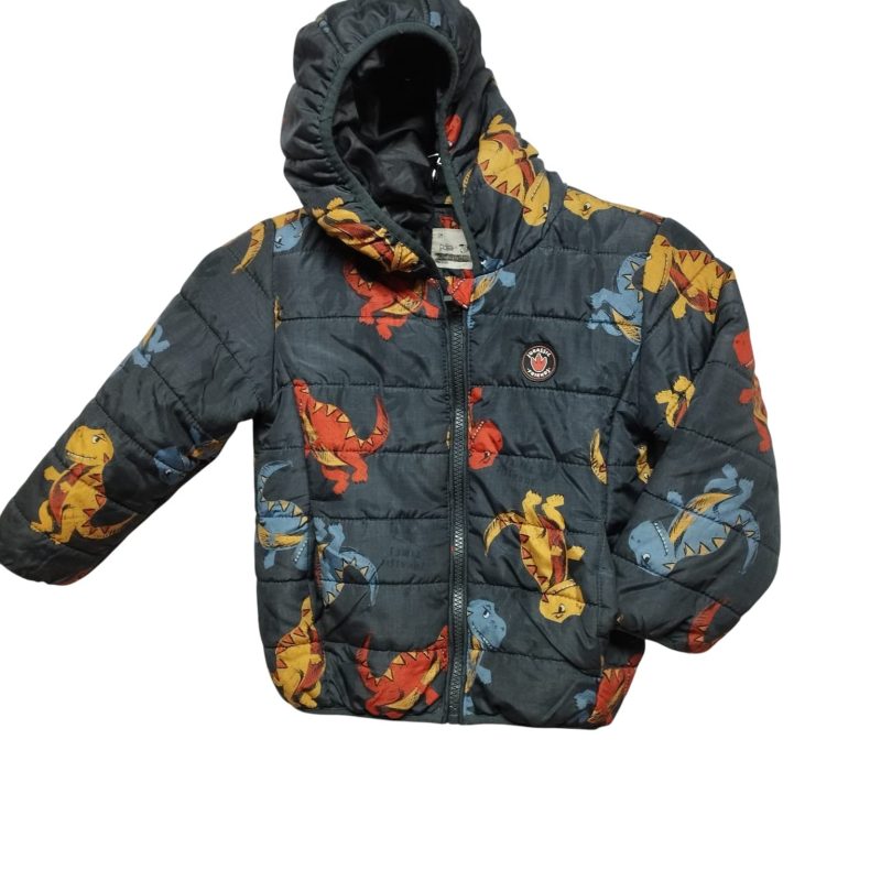 CAMPERA GRIS DINOSAURIOS COLORES POIM T4