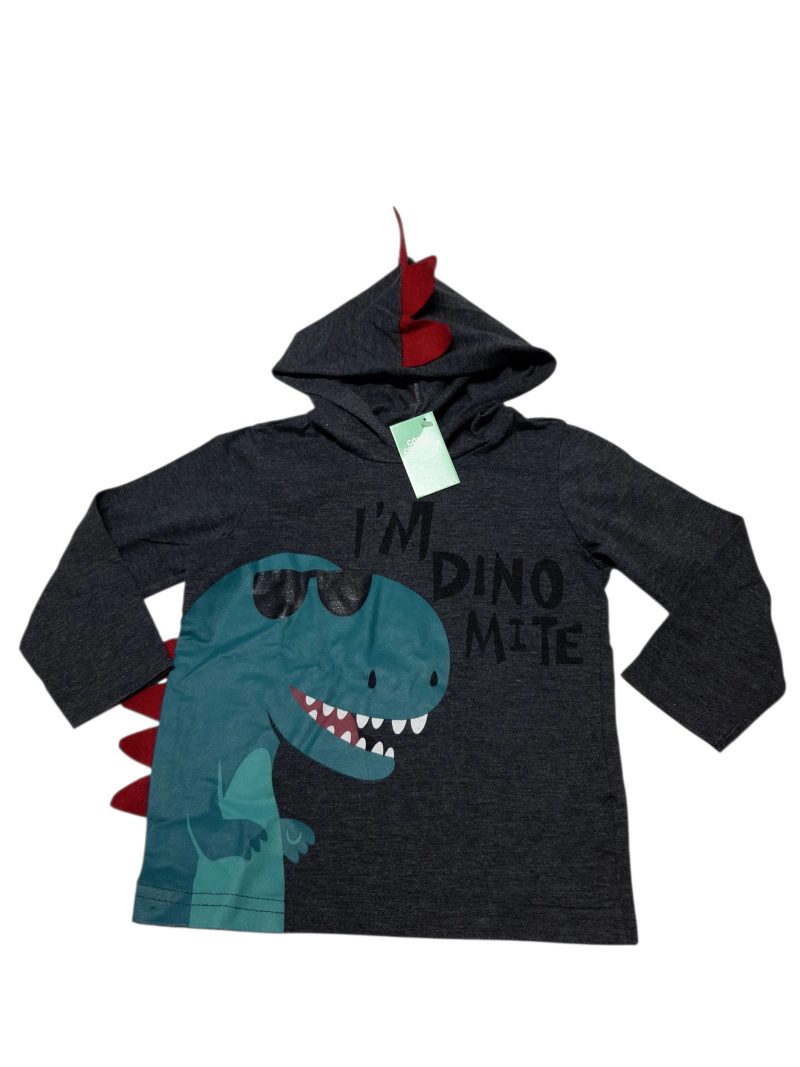 REMERA GRIS CAPUCHA DINO AZUL POIM T2