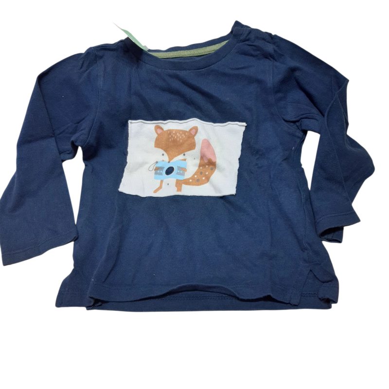 REMERA AZUL CUADRO ZORRO FOTOGRAFO BAS T18M