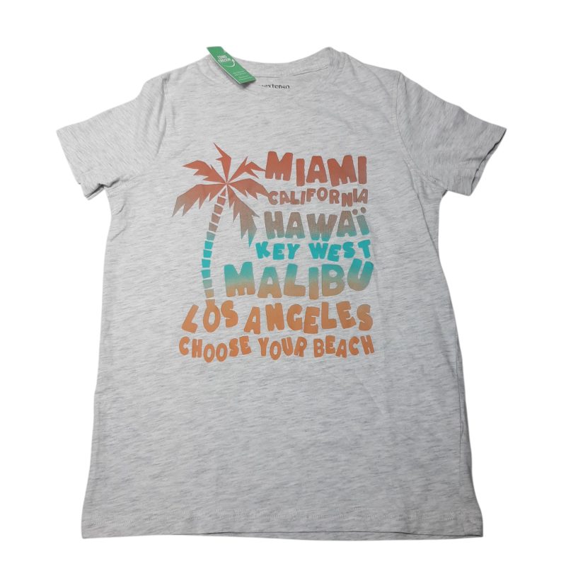 REMERA GRIS INEXTENSO T10 MIAMI