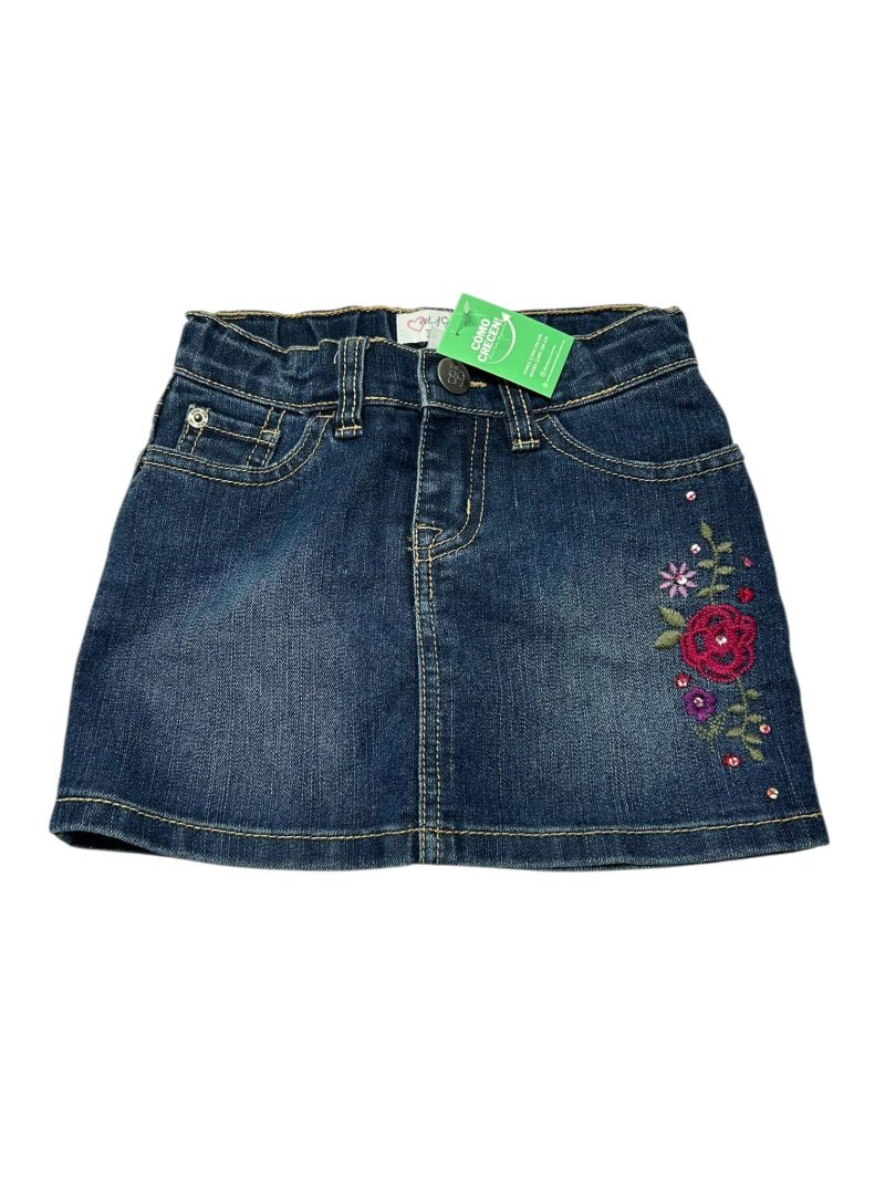 POLLERA SHORT DE JEAN FLORES ROSA PLACE T4