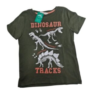 REMERA ALG H&M T 4/6 VERDE NARANJA BCO DINOSAUR ESQUELETOS