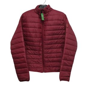 CAMPERA INFLADA BORDO GRIS FORUM BY SCANDINAVIAN T M
