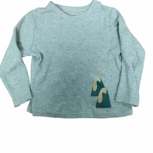 REMERA ALG GRIS MONTAÑAS CANICA T 1