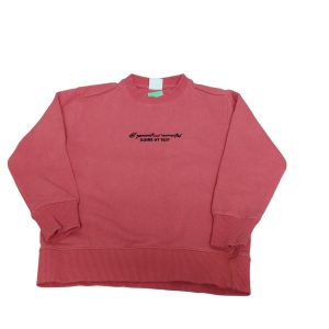 BUZO ALG CORAL SIN FELPA ZARA T6/7 ALL GENERATION