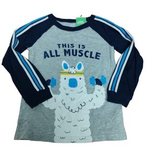 REMERA ALG GRIS AZUL FRANJA CELESTE BCO OVEJA PESAS CARTER'S T 4