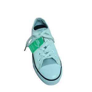 CHAMPIONES LONA BCO PLATEADO CONVERSE ALL STAR T33 BR