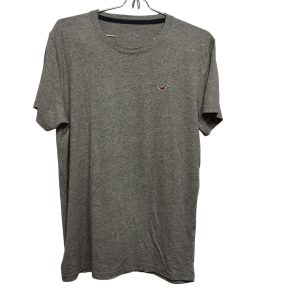 REMERA ALG GRIS GAVIOTA BORDADA HOLLISTER T S AP