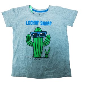 REMERA GRIS CACTUS BUNGY BOYS T6 gt