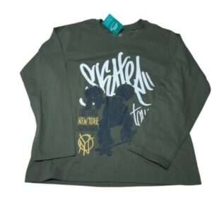 REMERA VERDE SKATE BRONZINI T10