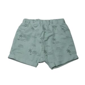 SHORT ALG VERDE AGUA PALERAS MCH INT KIABI T6M