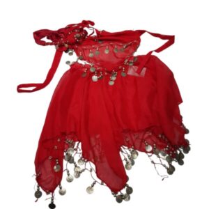 DISFRAZ ODALISCA ROJO MONEDAS T10/12APROX