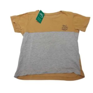 REMERA MOSTAZA GRIS POIM T2