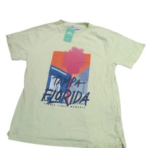 REMERA ALG AMARILLA TAMPA FLORIDA PALMERA ROSA ZARA T7
