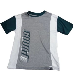 REMERA ALG GRIS BCO VERDE PUMA T8