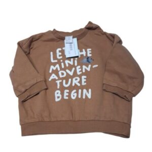 BUZO MARRON DINO LET THE MINI H&M T9/12M