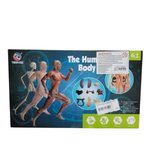 CUERPO HUMANO DIDACTICO TY350525