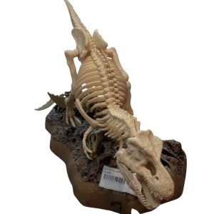 ESQUELETO DE DINOSAURIO BCO VERDE CON BASE