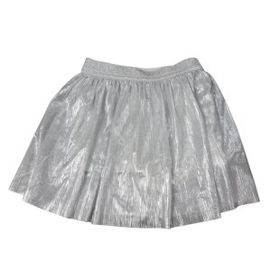 POLLERA PLATEADA ELASTICO POIM T3