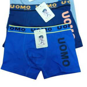 CALZONCILLO BOXER UOMO COLORES  4/6