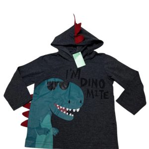 REMERA GRIS CAPUCHA DINO AZUL POIM T2