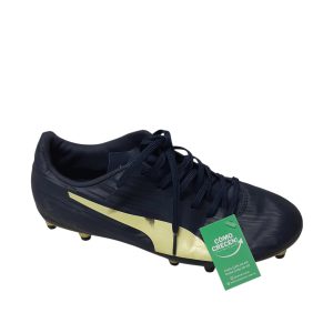CHAMPIONES DE FUTBOL CANCHA AZUL RASP PUMA T43 28CM