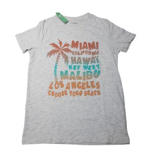 REMERA GRIS INEXTENSO T10 MIAMI