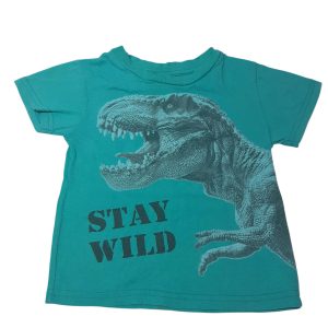 REMERA VERDE DINO PAPPOLINO T1